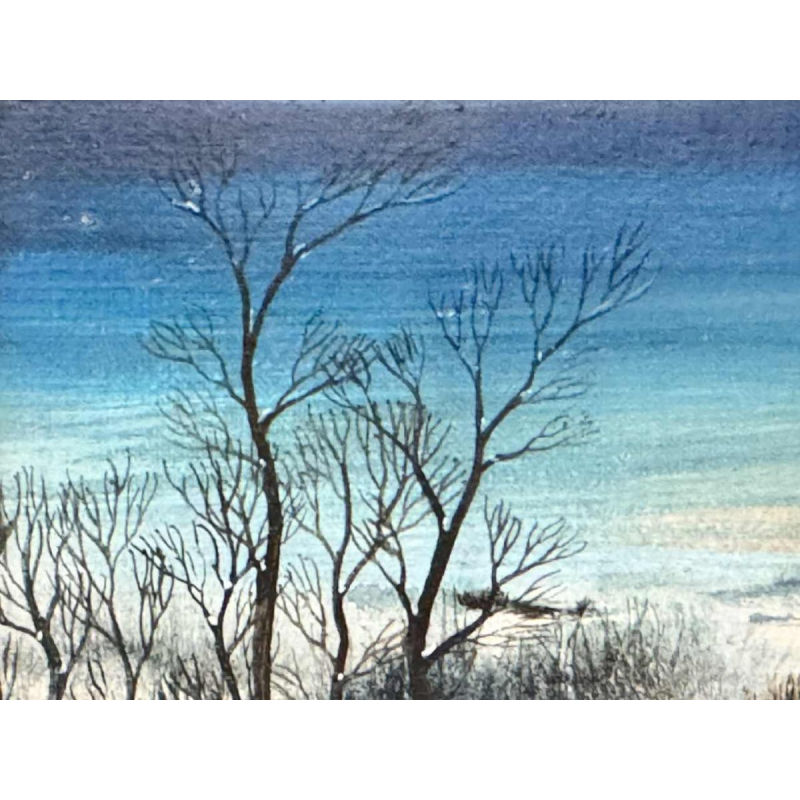 Danielle MOLINA « Paysage hivernal aux canards » peinture huile sur toile