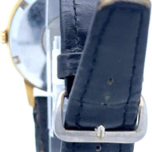 Omega Seamaster, vintage automatisch herenhorloge, gouden wijzerplaat