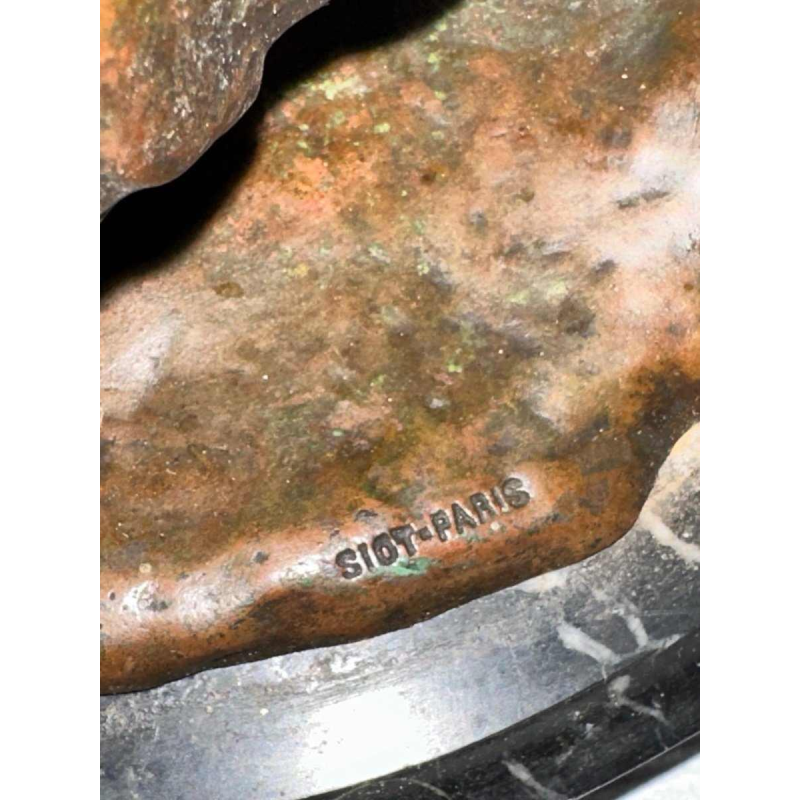 Lélégante Toto de Laure Hayman