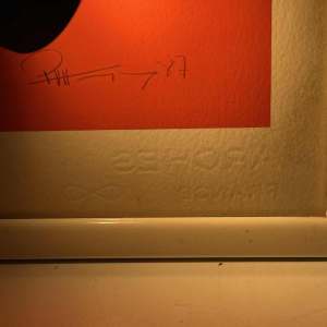 Paul Van Hoeydonck, Zeefdruk 'IPPA' Pop Art N42/110, 1987