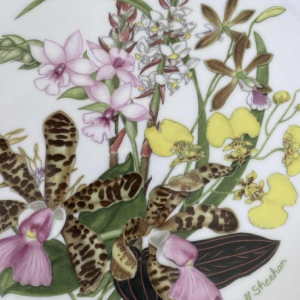 Franklin Porcelain - Royal Horticultural Society, set of 12 floral plates, London ca 1980