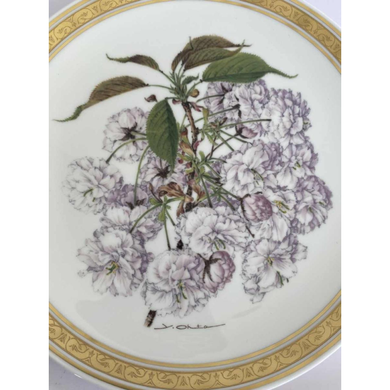 Franklin Porcelain - Royal Horticultural Society, ensemble de 12 assiettes florales, London ca 1980