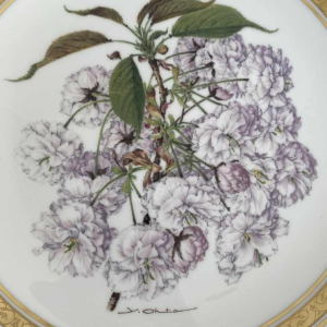 Franklin Porcelain - Royal Horticultural Society, set of 12 floral plates, London ca 1980