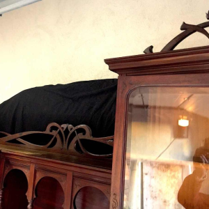 Secrétaire Bureau Bibliothèque Art Nouveau belge en acajou, circa 1900