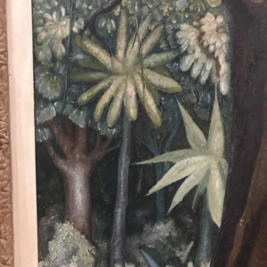 The Savannah Gerard Laenen