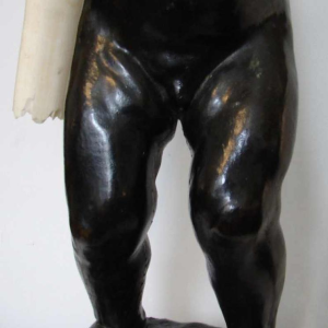 L'enfant porteur de défense de Frans Joris