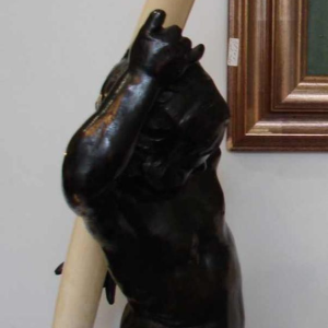 L'enfant porteur de défense de Frans Joris