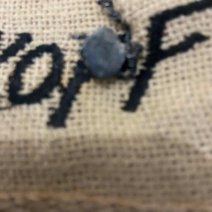 Serge Poliakoff, uitgeverij tapijt