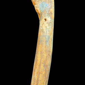 Michel CIPARISSE « tête » sculpture en bois