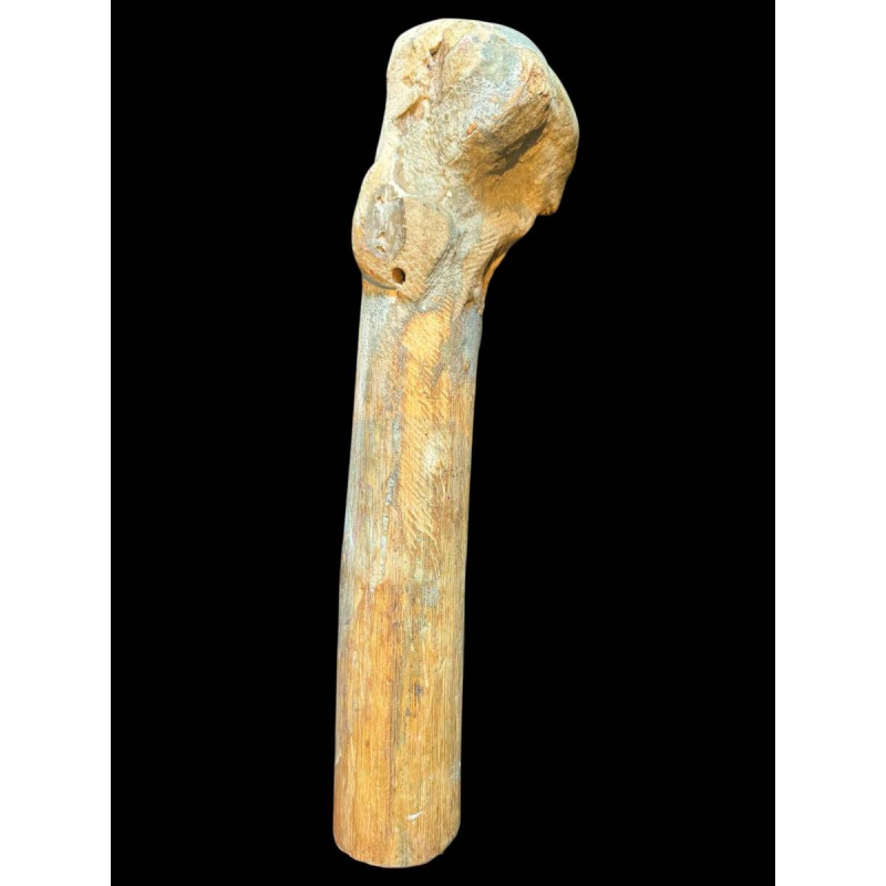 Michel CIPARISSE “hoofd“ sculptuur van hout