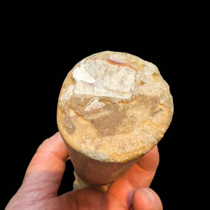 Michel CIPARISSE “hoofd“ sculptuur van hout