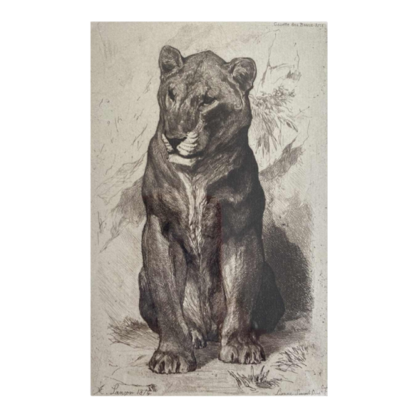 Auguste-André Lançon / Gazette des Beaux-Arts, gravure “Senegalese leeuwin“ 1874