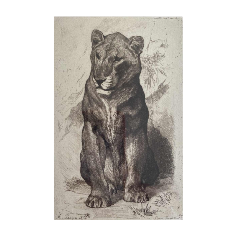 Auguste-André Lançon / Gazette des Beaux-Arts, gravure “Lionne du Sénégal“ 1874