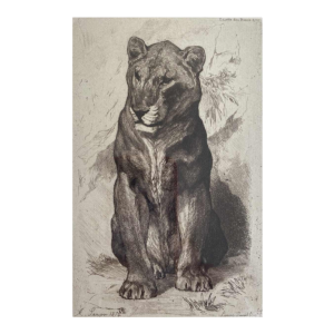 Auguste-André Lançon / Gazette des Beaux-Arts, gravure “Senegalese leeuwin“ 1874