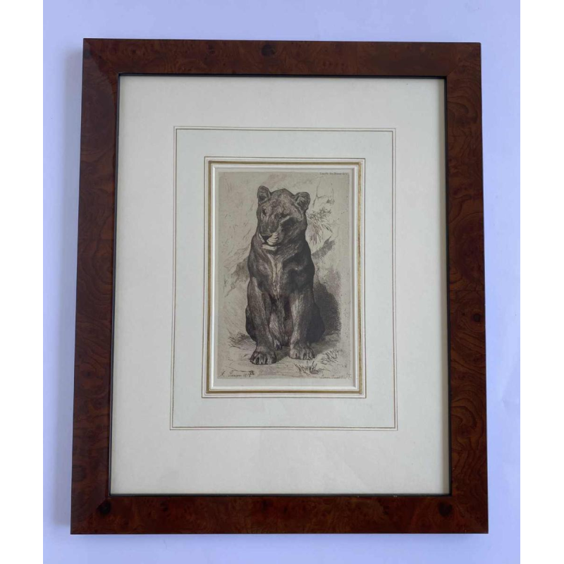 Auguste-André Lançon / Gazette des Beaux-Arts, engraving “Senegal lioness“ 1874