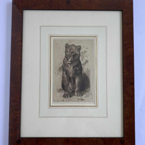 Auguste-André Lançon / Gazette des Beaux-Arts, gravure “Lionne du Sénégal“ 1874