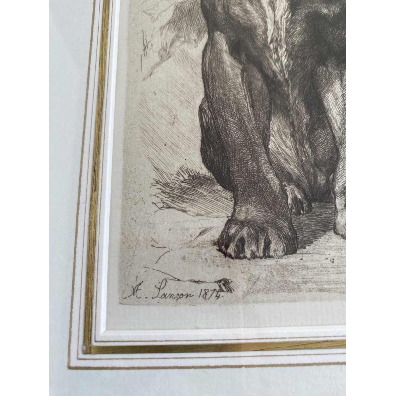 Auguste-André Lançon / Gazette des Beaux-Arts, gravure “Senegalese leeuwin“ 1874