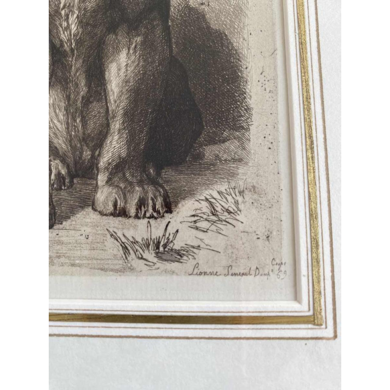 Auguste-André Lançon / Gazette des Beaux-Arts, gravure “Senegalese leeuwin“ 1874