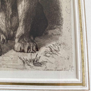 Auguste-André Lançon / Gazette des Beaux-Arts, gravure “Lionne du Sénégal“ 1874