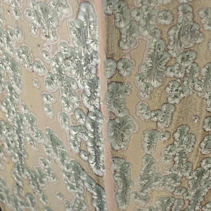 ROGER GUERIN, zeldzame Art Deco vaas 725 zeshoekige schelp, Bouffioulx steengoed