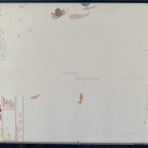 Thérèse COUSTRY «Maison à la chapelle » peinture huile sur toile marouflée