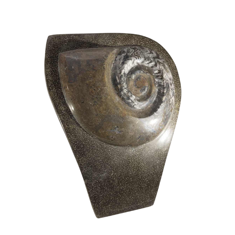 Ammonite, grande sculpture fossile 53cm à poser