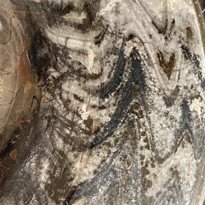 Ammonite, grande sculpture fossile 53cm à poser