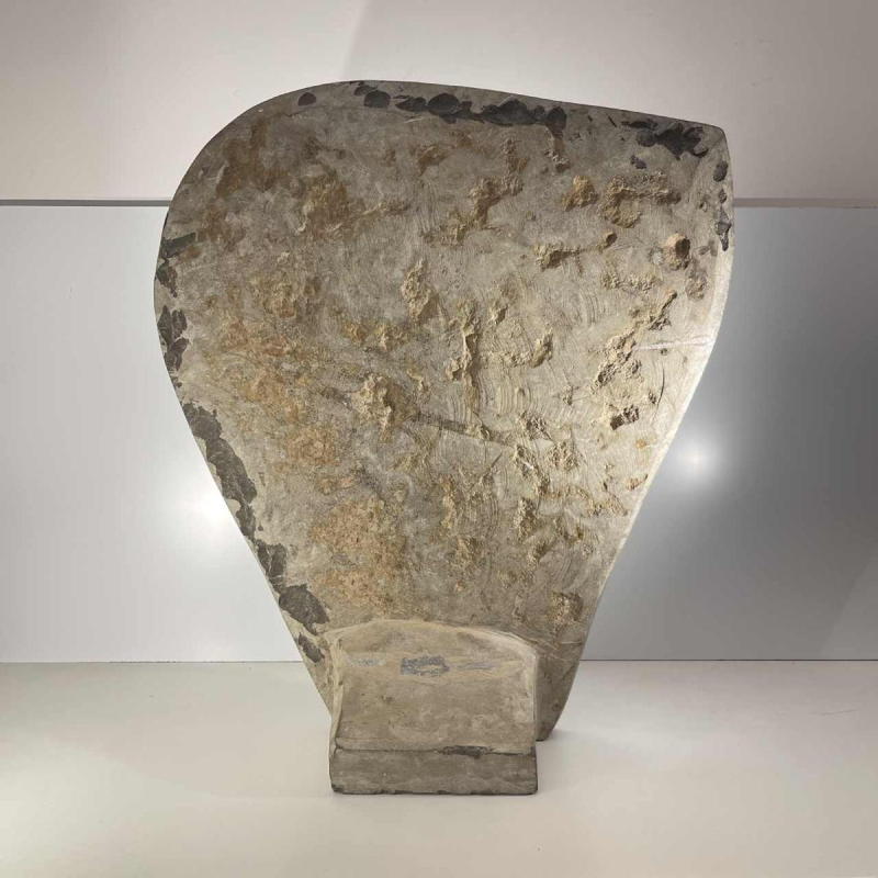 Ammonite, grande sculpture fossile 53cm à poser