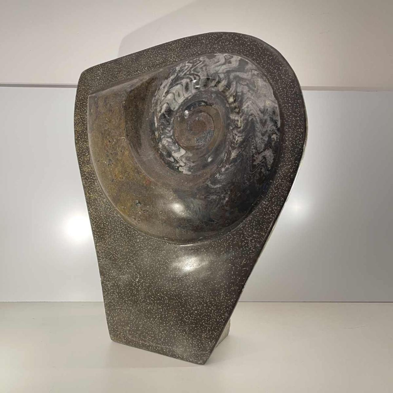 Ammonite, grande sculpture fossile 53cm à poser