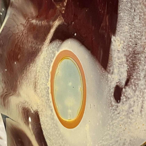 Louis LELOUP (1929-) important vase-sculpture en cristal