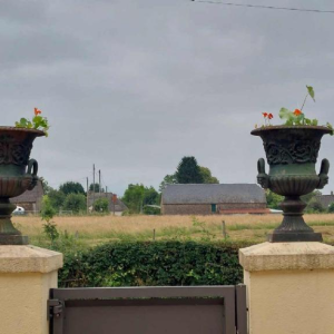 Paire de grandes urnes jardinières en fonte