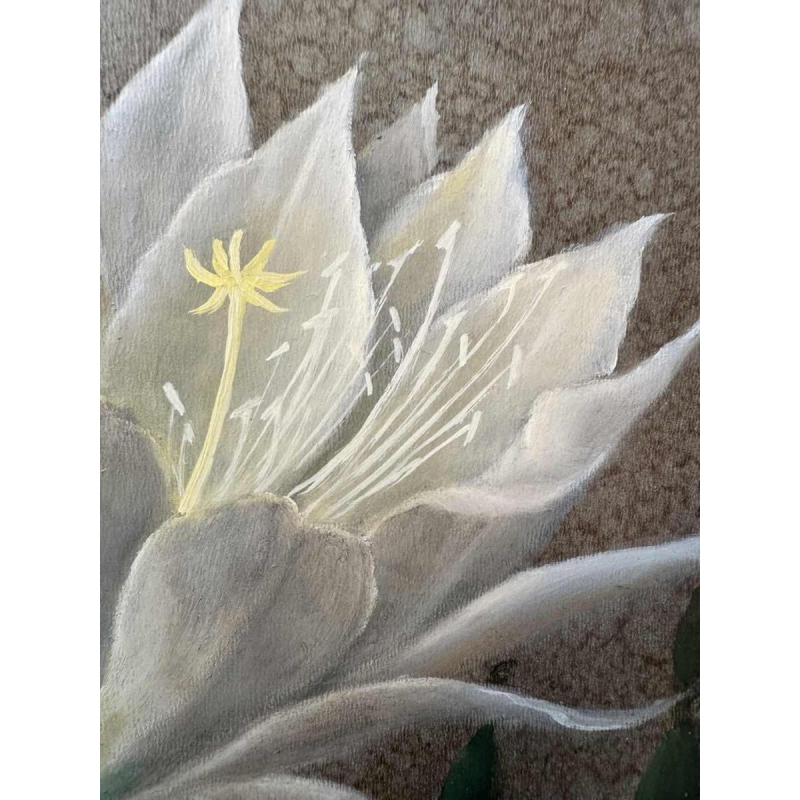 Jules PETIT « Cactusbloemen » schilderij olie op paneel