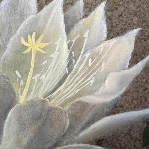 Jules PETIT « Fleurs de cactus » peinture huile sur panneau