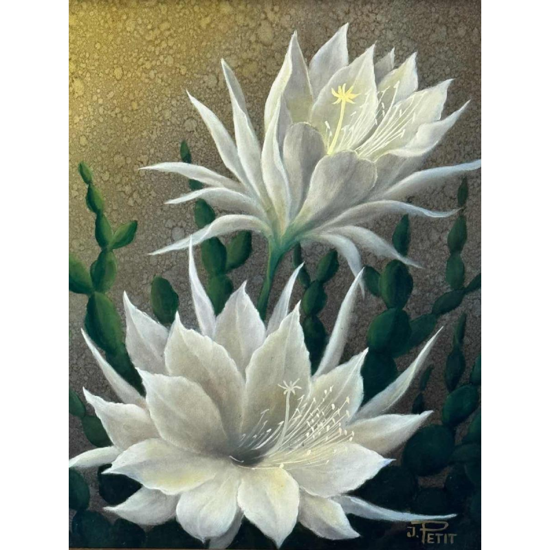 Jules PETIT « Cactusbloemen » schilderij olie op paneel