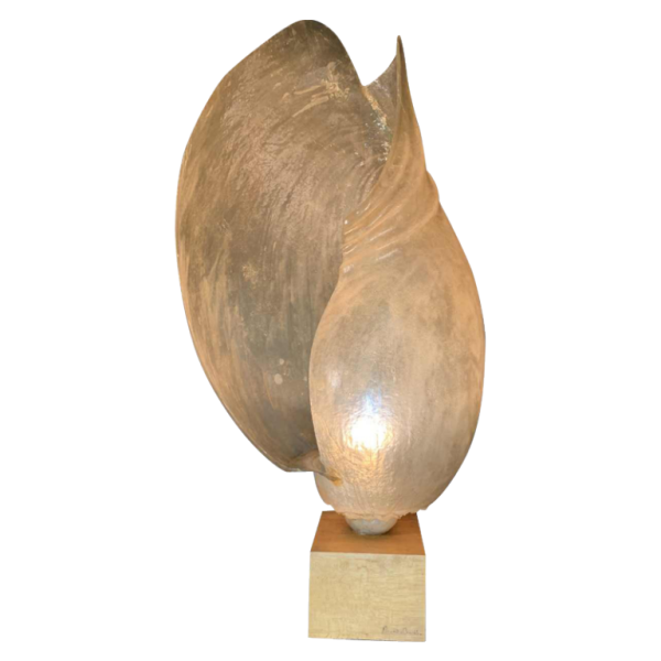 MARIKA CARNITI BOLLEA "LIMNEA IL MARE" Importante lampe coquillage résine 1970s (120cm)