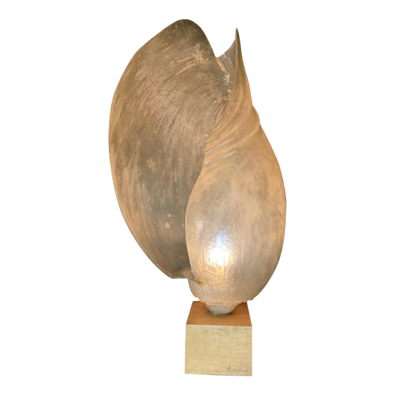 MARIKA CARNITI BOLLEA "LIMNEA IL MARE" Importante lampe coquillage résine 1970s (120cm)