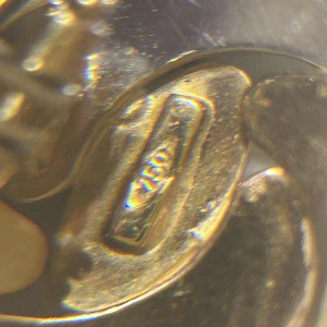 Paar clip oorbellen in driekleurig goud