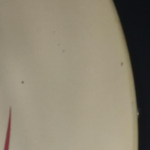 Applique Murale CINETIQUE " Spirale " - Attribué à Georges Vantongerloo 1950