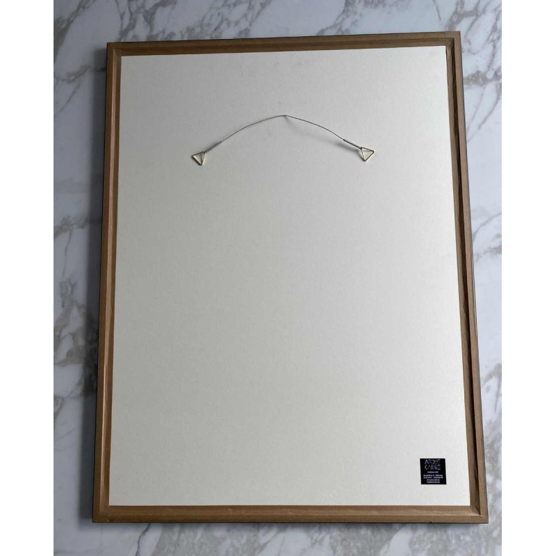 Olivier Hoffait (SOKE) L'aviatrice coloured lithograph