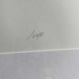 Olivier Hoffait (SOKE) L'aviatrice coloured lithograph