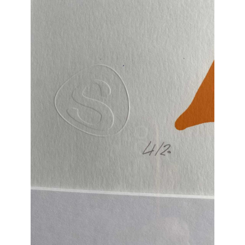 Olivier Hoffait (SOKE) L'aviatrice kleurenlitho