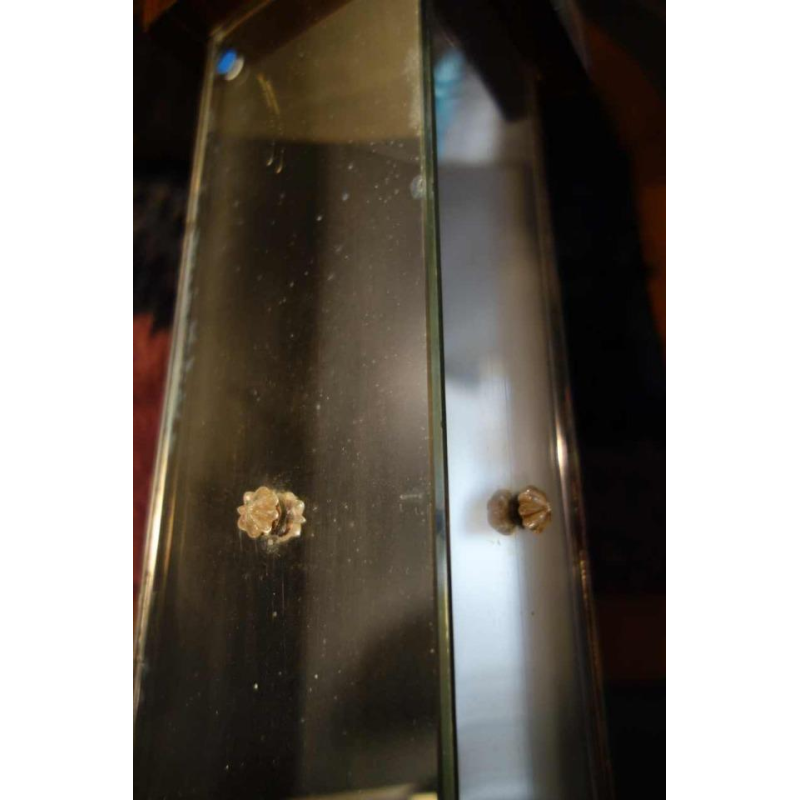 Grand Lampadaire / Sellette Art Déco en ébène de Macassar, circa 1930