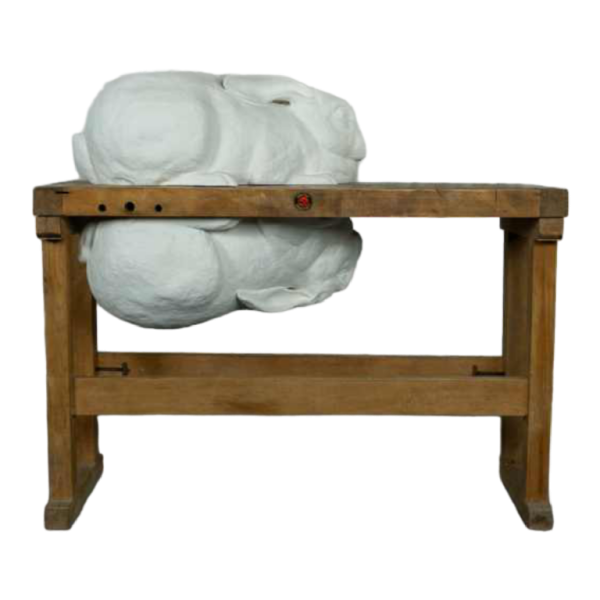 Through the Looking Glass, Anneke Lauwaert, 2019