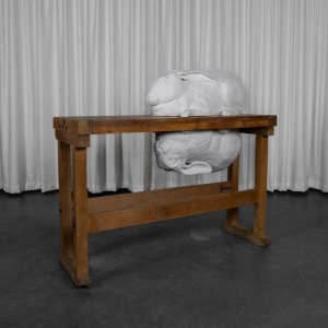 Door het kijkglas, Anneke Lauwaert, 2019