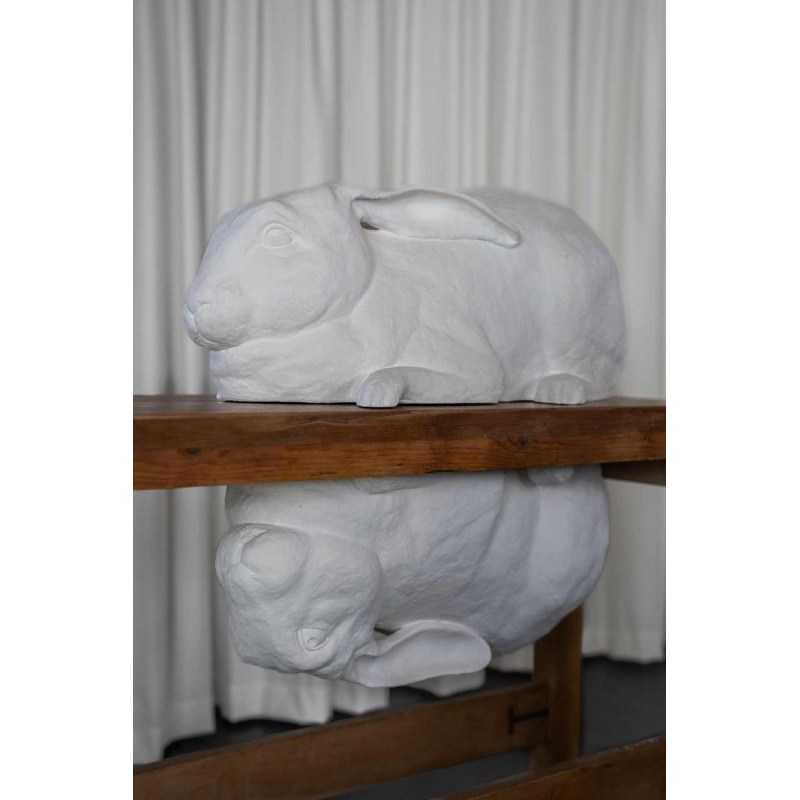 Door het kijkglas, Anneke Lauwaert, 2019