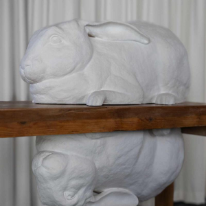 Door het kijkglas, Anneke Lauwaert, 2019