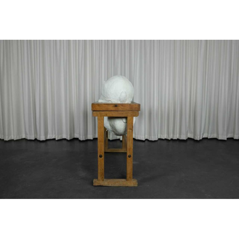 Door het kijkglas, Anneke Lauwaert, 2019