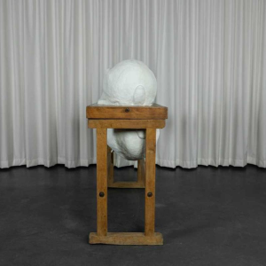 Through the Looking Glass, Anneke Lauwaert, 2019