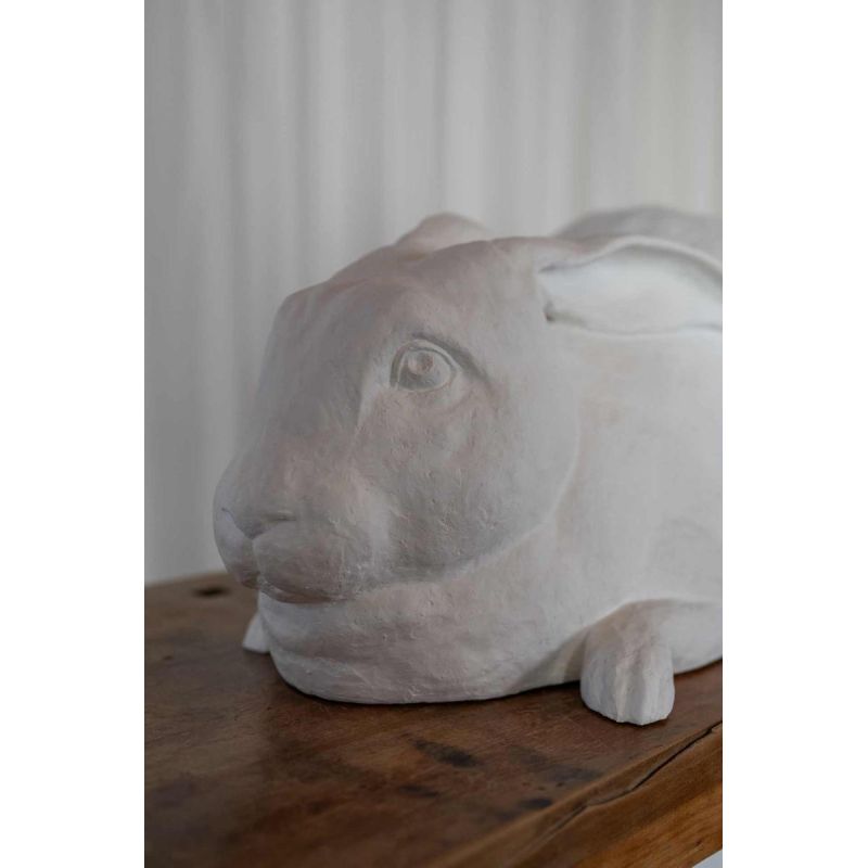 Door het kijkglas, Anneke Lauwaert, 2019