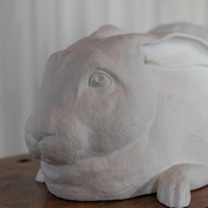 Door het kijkglas, Anneke Lauwaert, 2019